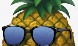 菠萝漫画图,趣味横生的日常趣事